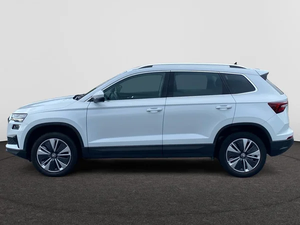 SKODA Karoq (2022) — foto 8 van 8