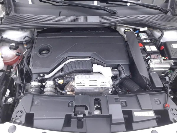Fiat 600 (2025) — foto 9 van 23
