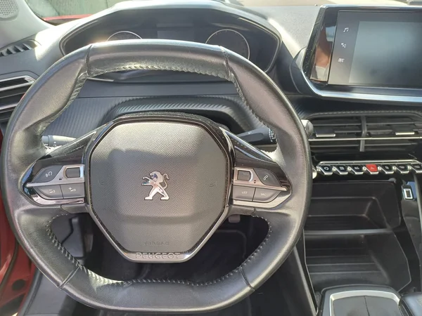 Peugeot 2008 (2021) — foto 8 van 27
