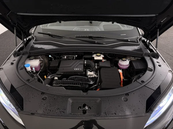 BYD Seal U (2026) — foto 6 van 34