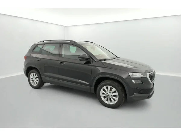 SKODA Karoq (2022) — foto 35 van 36