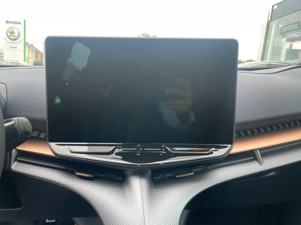 CUPRA Tavascan (2024) — foto 4 van 20