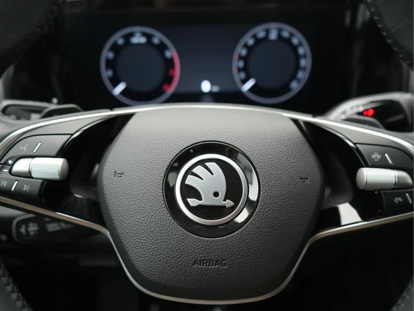 SKODA Kodiaq (2024) — foto 15 van 32
