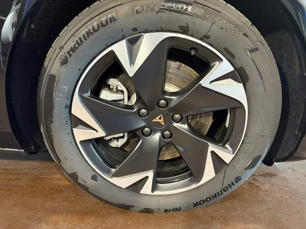 CUPRA Tavascan (2025) — foto 21 van 24