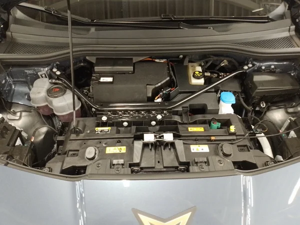 CUPRA Tavascan (2024) — foto 14 van 16