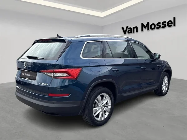 Škoda Kodiaq (2018) — foto 18 van 23