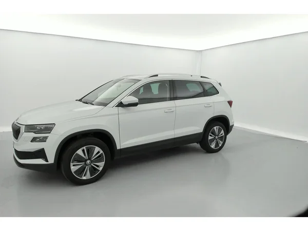 SKODA Karoq (2023) — foto 32 van 36