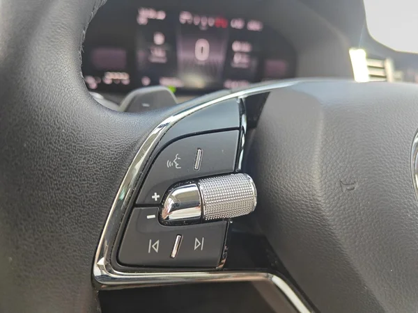SKODA Kodiaq (2024) — foto 14 van 24