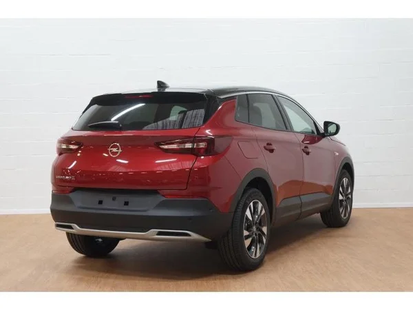 Opel Grandland X (2020) — foto 15 van 20