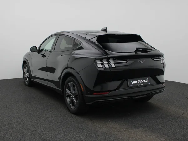 Ford Mustang Mach-E (2021) — foto 12 van 52