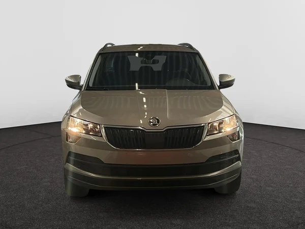 SKODA Karoq Dsl (2019) — foto 21 van 22