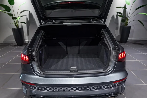Audi RS3 (2022) — foto 10 van 52