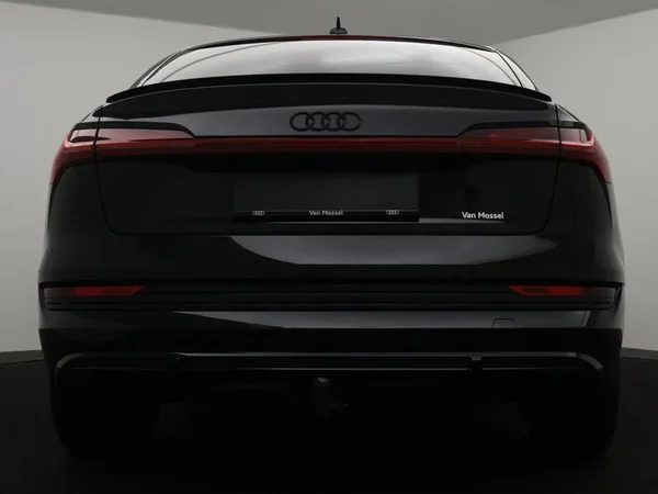 Audi e-tron (2021) — foto 26 van 29