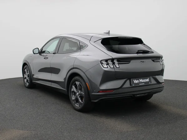 Ford Mustang Mach-E (2021) — foto 12 van 43