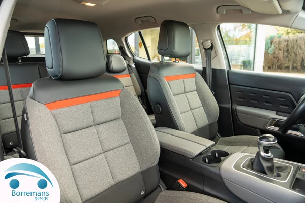 Citroen C5-AIRCROSS (2019) — foto 10 van 36
