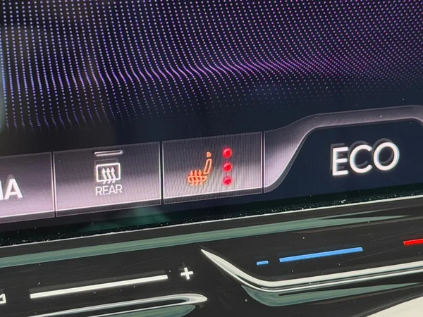 CUPRA Tavascan (2024) — foto 9 van 25