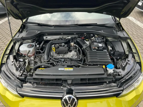 VOLKSWAGEN Golf VIII (2022) — foto 6 van 24