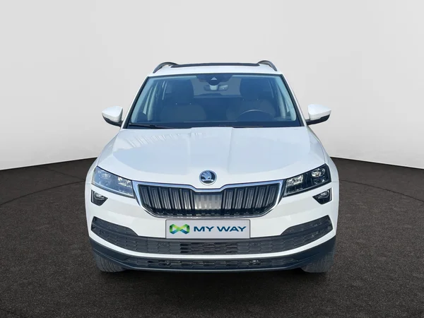 SKODA Karoq (2018) — foto 19 van 21