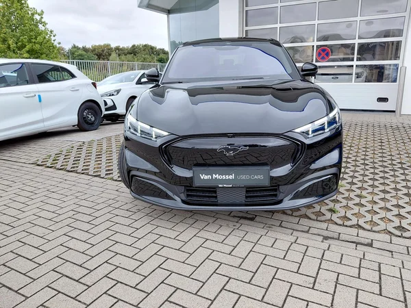 Ford Mustang Mach-E (2025) — foto 23 van 25