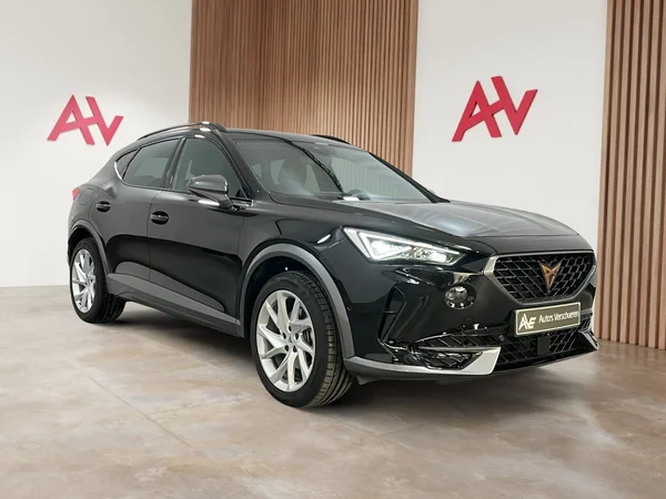 Cupra Formentor (2024) — foto 12 van 29