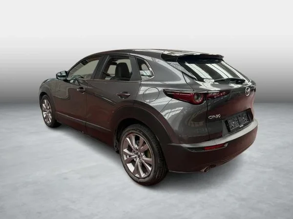 Mazda CX-30 (2019) — foto 13 van 15
