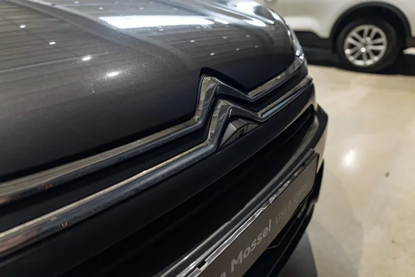 Citroën C4 (2022) — foto 33 van 35