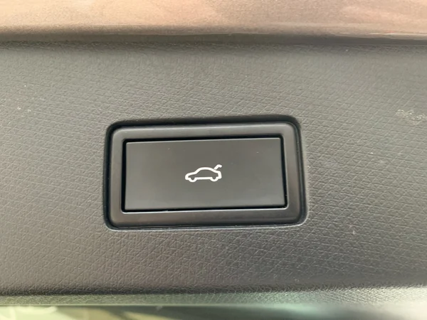 CUPRA Tavascan (2024) — foto 10 van 22