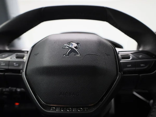 Peugeot e-2008 (2022) — foto 24 van 42