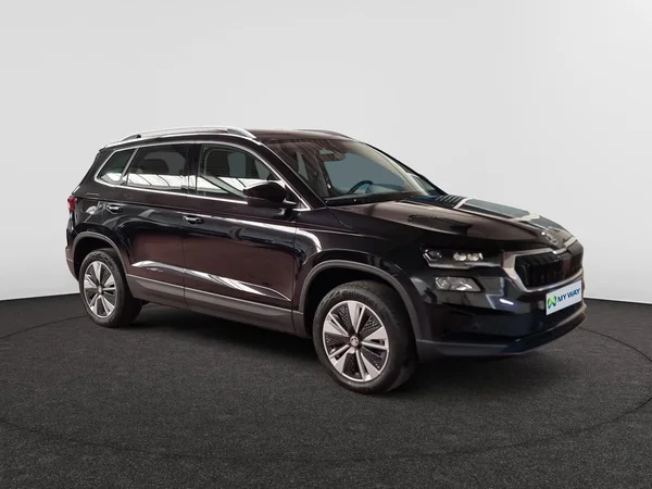 SKODA Karoq (2022) — foto 22 van 23