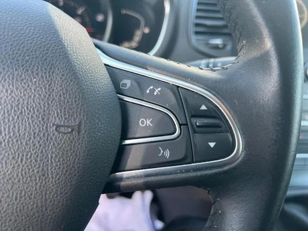 RENAULT Scénic Dsl (2019) — foto 6 van 25
