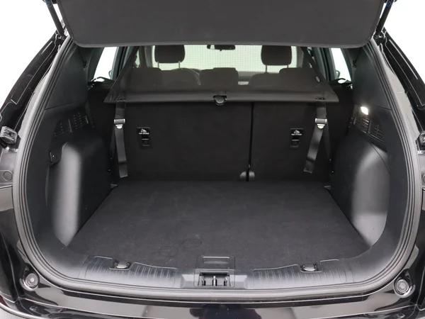 FORD Kuga (2024) — foto 8 van 28