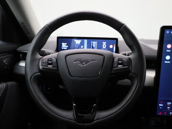 Ford Mustang Mach-E (2021) — foto 51 van 52