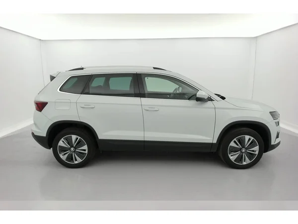 SKODA Karoq (2023) — foto 4 van 36