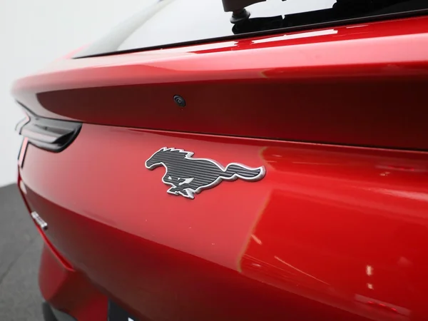 Ford Mustang Mach-E (2021) — foto 28 van 46