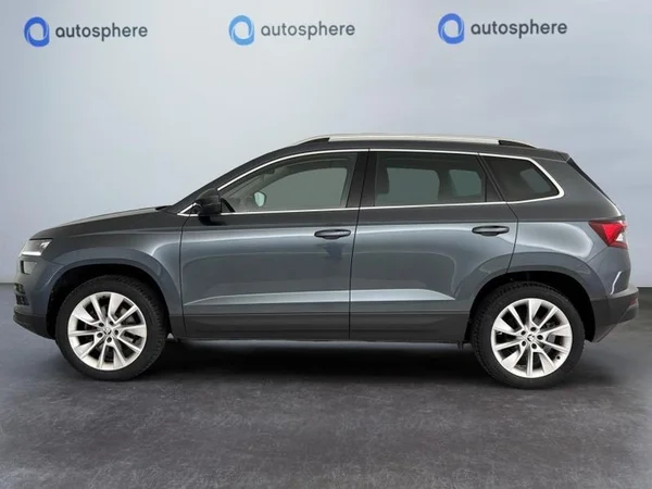 SKODA Karoq (2018) — foto 12 van 17