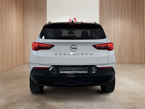 Opel Grandland (2024) — foto 27 van 29